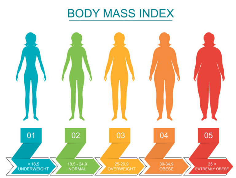 - understanding body weight and health