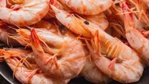 A closer look to find all interesting facts about shrimp
