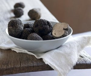 Black truffles in a white bowl