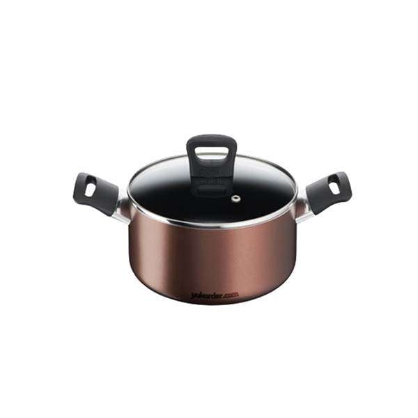 Tefal day by day stewpot 20cm+lid induction