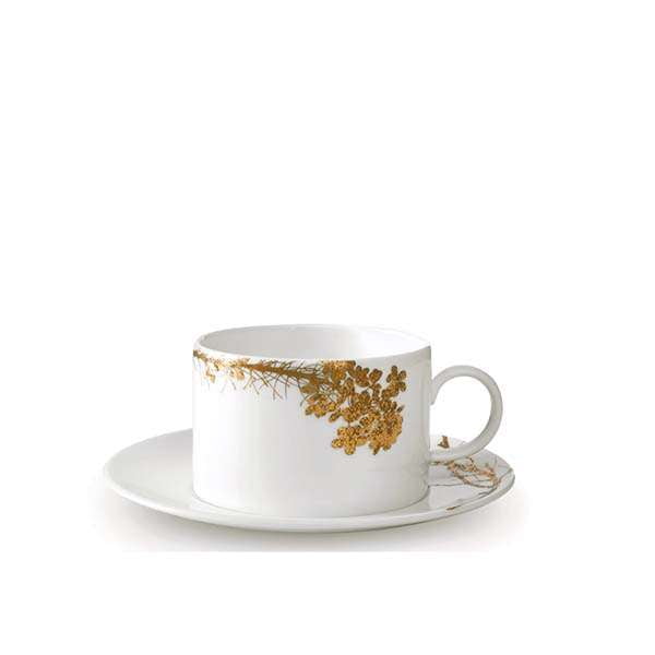 Vera jardin tea cup and saucer set