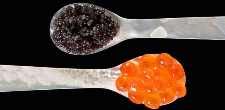 Everything you need to know about caviar