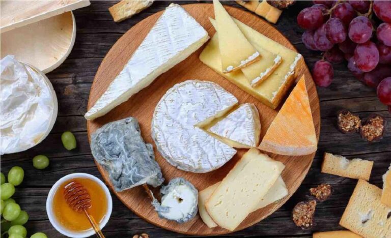 - know your cheese : a beginner's guide to cheese