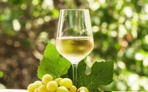A close up photo of white wine in a drinking glass to help us in understanding white wine