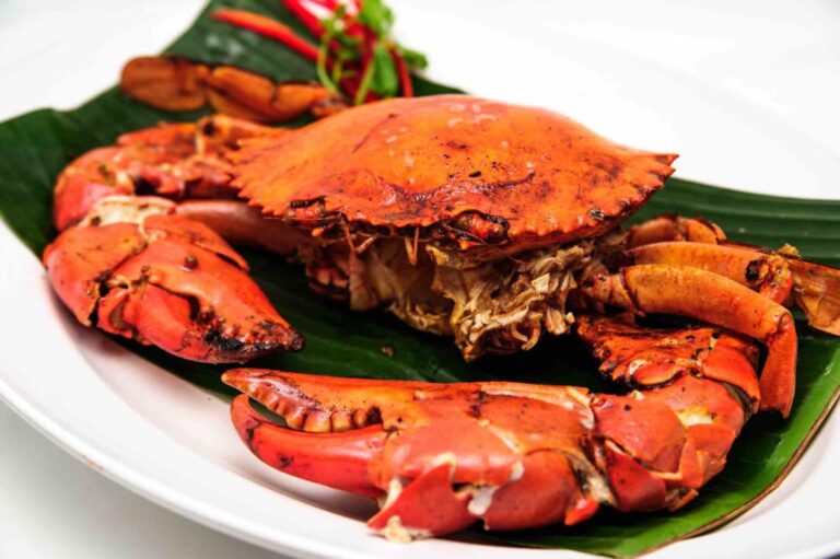 Feeling crabby? Not after this all-crab guide!