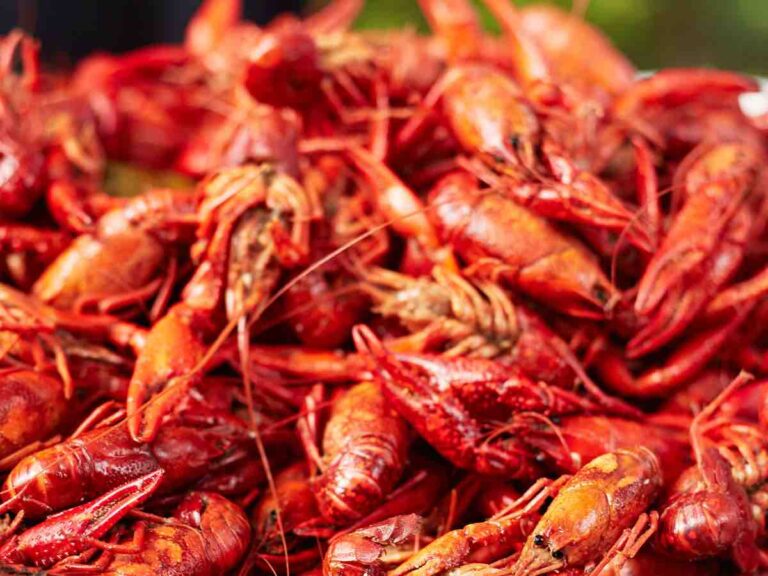- crazy for crayfish : a guide to buying and cooking with luxofood