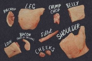 One of the interesting facts about pork is its many types of cut