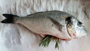 Cooking fish : everything you need to know for the perfect result