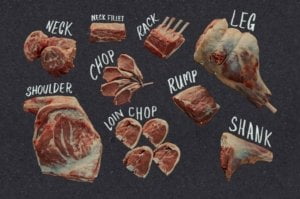 The many types of lamb meat cuts