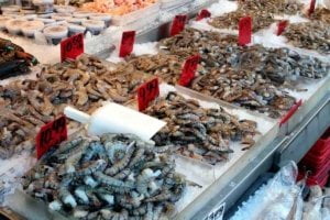 You can find a lot of interesting facts about the many types of shrimp