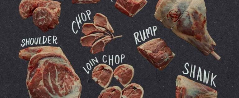 - understanding the many types of lamb cut
