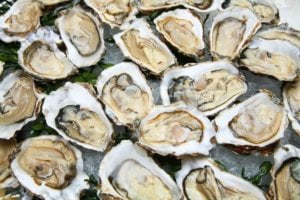 The photo of a lot of oysters to guide you understand all about oyster