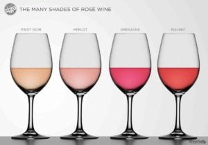 The photo of the many types of rose wine to help us in understanding rose wine better