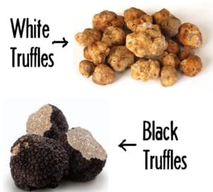 The photos of black truffles and white truffles