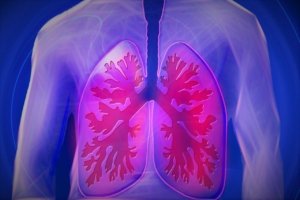 The lungs have been getting a lot of attention lately as coronavirus continues to make headlines. Check out these 6 foods to consume to keep your lungs healthy.