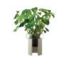 - lsa "terrazza planter" clear / concrete grey d: 19 cm h: 22 cm