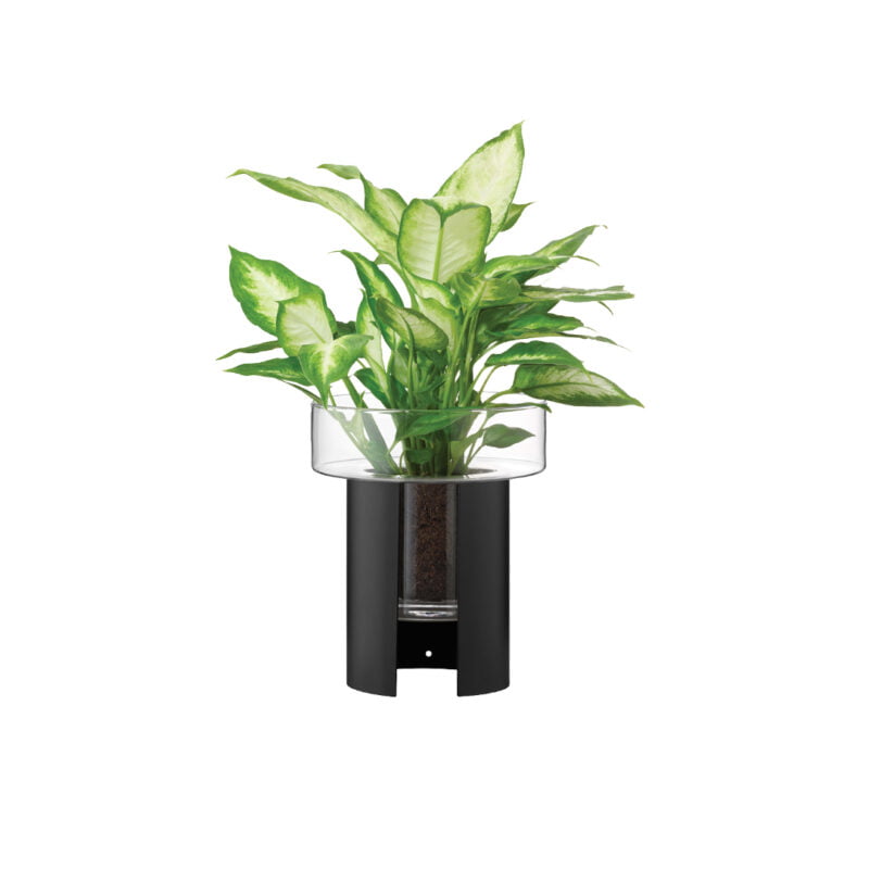 - lsa "terrazza planter" clear / jet black d: 19 cm h: 22 cm