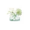 - lsa "canopy" vase/bulb planter recycled h10cm